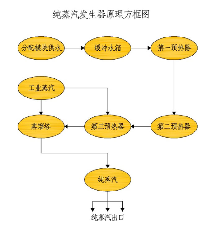 纯蒸汽发生器系统